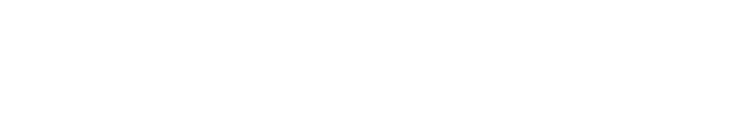 Exact Solutions