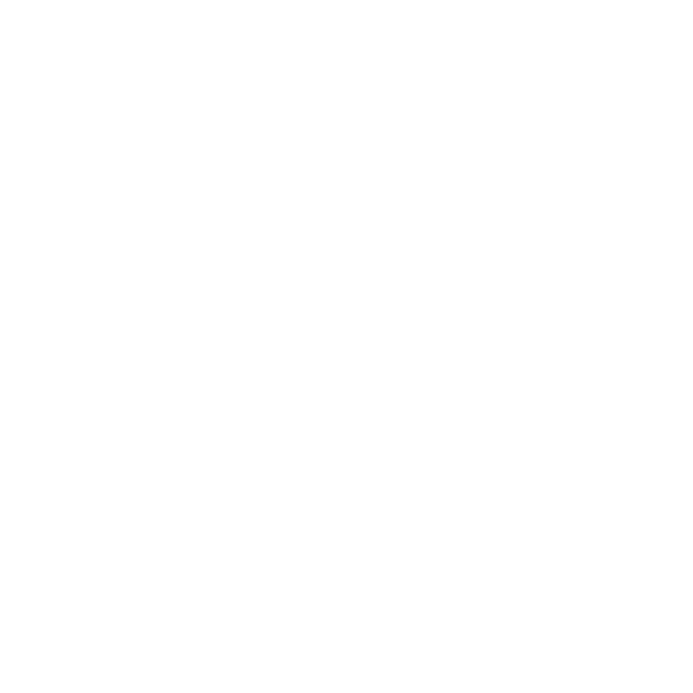 Exact Solutions